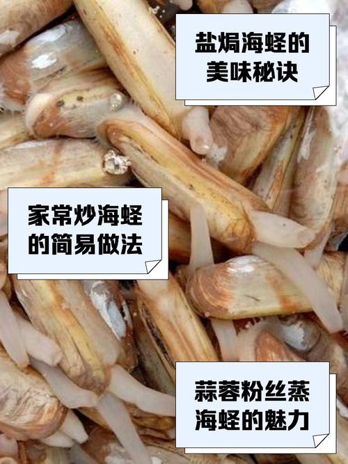 海鲜圣子怎么做才好吃?日常如何正确养护?-图1 海鲜圣子怎么做才好吃?日常如何正确养护?-图1