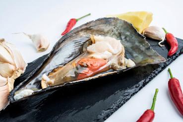 海鲜带子图片大全图解,带子品种怎么区分?-图1 海鲜带子图片大全图解,带子品种怎么区分?-图1