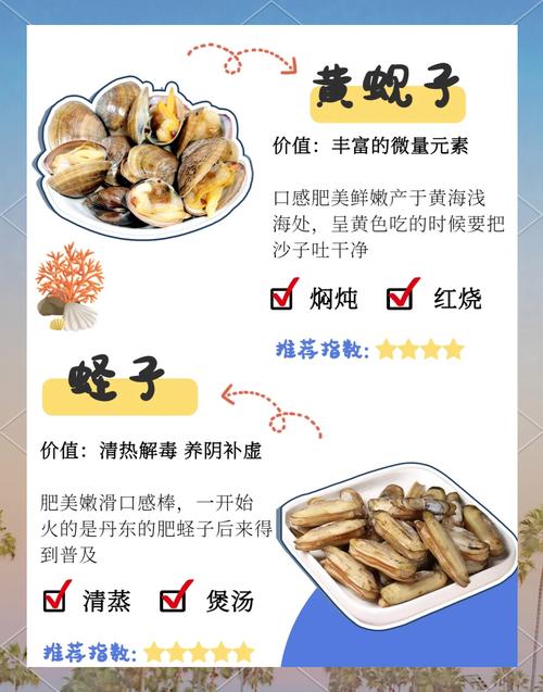 海鲜带子图片大全图解，带子品种怎么区分？-图2