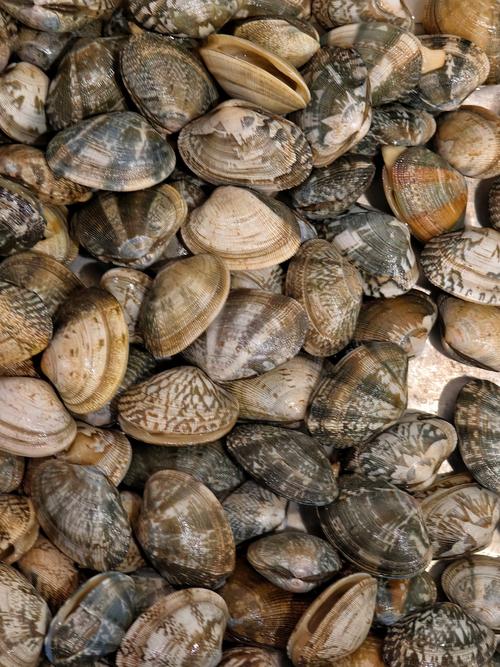 潮汕海鲜面做法大全，关键在哪？-图2