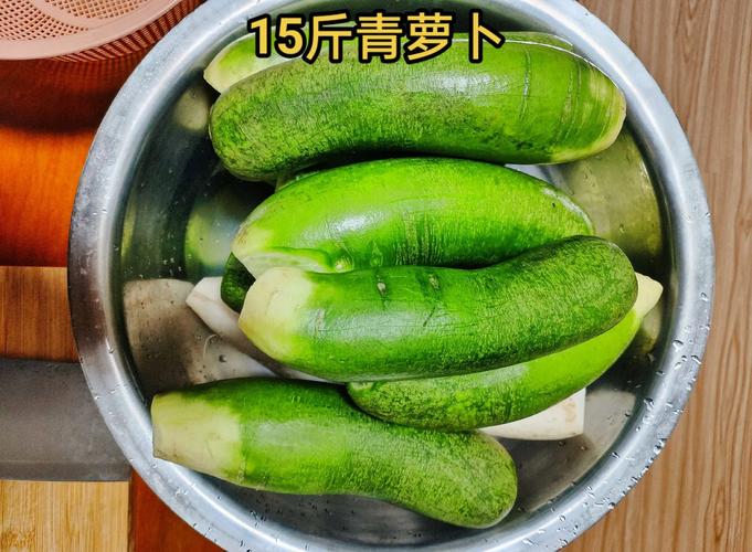 绿萝卜家常做法有哪些?-图1 绿萝卜家常做法有哪些?-图1