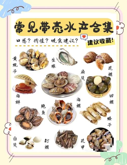 贝类海鲜与哪些食物同吃会中毒？-图2