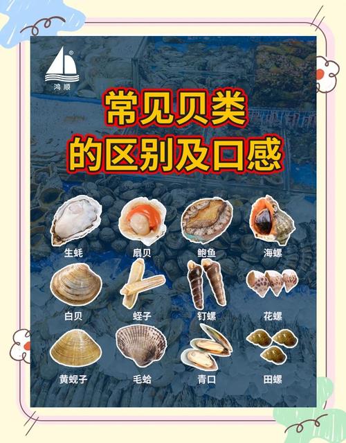 贝类海鲜与哪些食物同吃会中毒？-图1