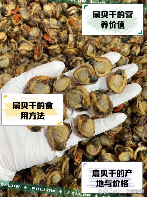 干贝家常做法有哪些?-图2 干贝家常做法有哪些?-图2