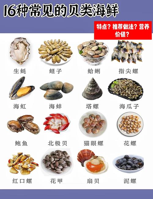 海鲜做法大全带图，哪种做法最易学又美味？-图1