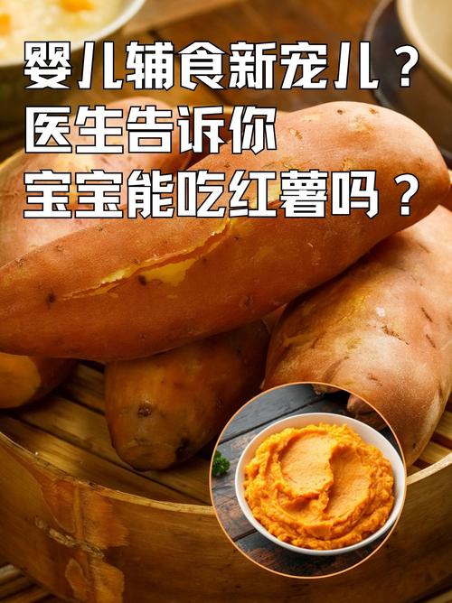 6个月宝宝能吃红薯粥吗？-图2
