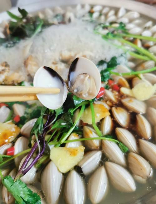 海鲜火锅做法视频，新手跟做能学会吗？-图2