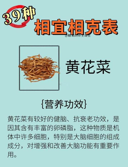 新鲜黄花菜有毒?家常做法怎么去毒?-图2 新鲜黄花菜有毒?家常做法怎么去毒?-图2