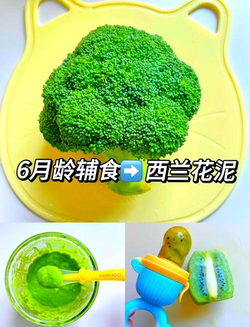 西兰花泥怎么做才细腻不腥?-图1 西兰花泥怎么做才细腻不腥?-图1