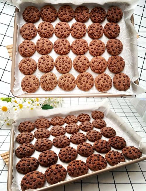 巧克力曲奇饼干家常做法怎么做?-图2 巧克力曲奇饼干家常做法怎么做?-图2