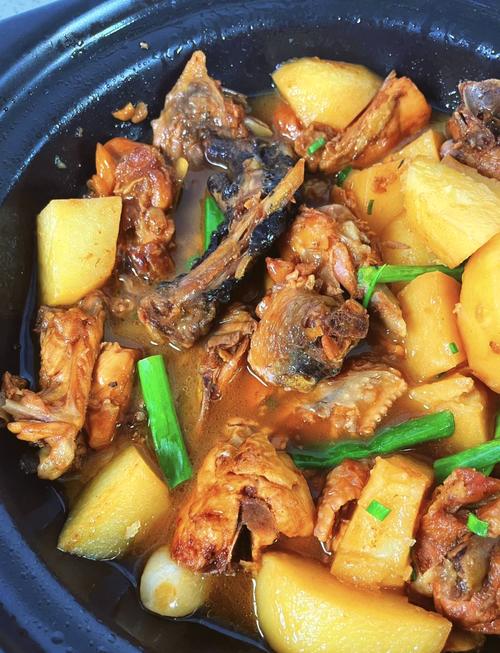 土豆炖鸡块的家常做法视频-图1
