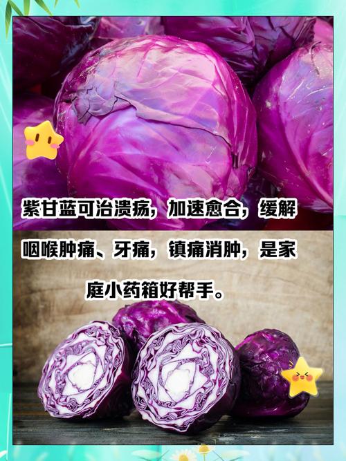 紫甘蓝一岁宝宝可以吃吗-图1