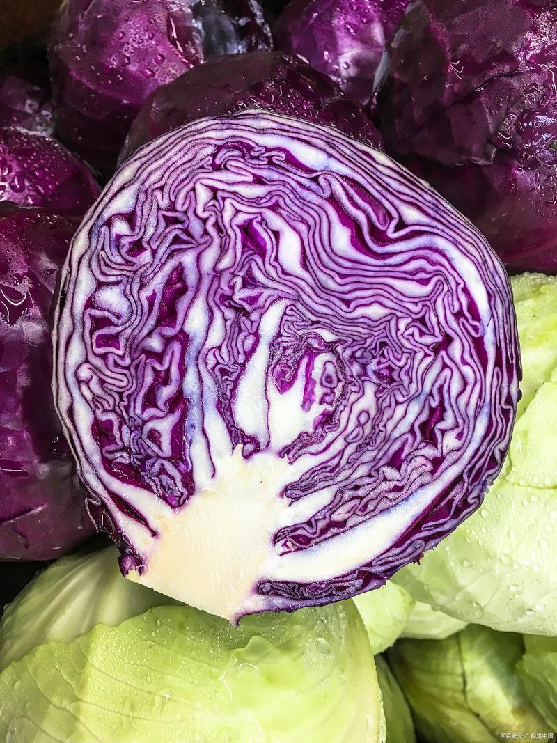 紫甘蓝一岁宝宝可以吃吗-图3