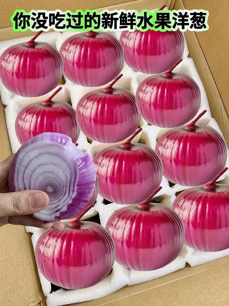 8月宝宝能吃洋葱吗?会不消化吗?-图1 8月宝宝能吃洋葱吗?会不消化吗?-图1