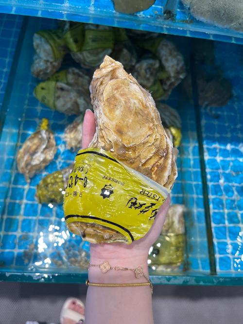 大chen 是什么海鲜-图3 大chen 是什么海鲜-图3