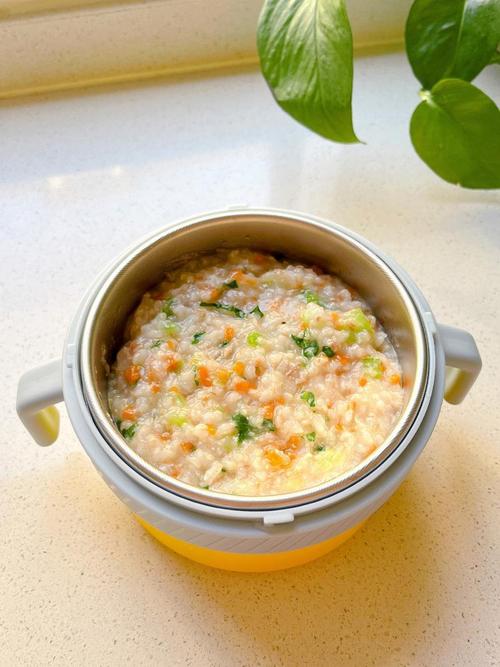 宝宝胡萝卜瘦肉粥怎么做更营养好消化?-图2 宝宝胡萝卜瘦肉粥怎么做更营养好消化?-图2