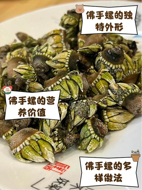 海鲜佛手多少钱?-图2 海鲜佛手多少钱?-图2