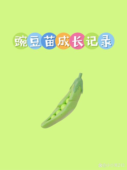 11月宝宝能吃豌豆吗？-图3