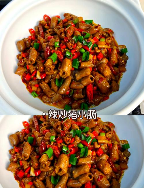 猪肠的家常做法大全家常-图1 猪肠的家常做法大全家常-图1