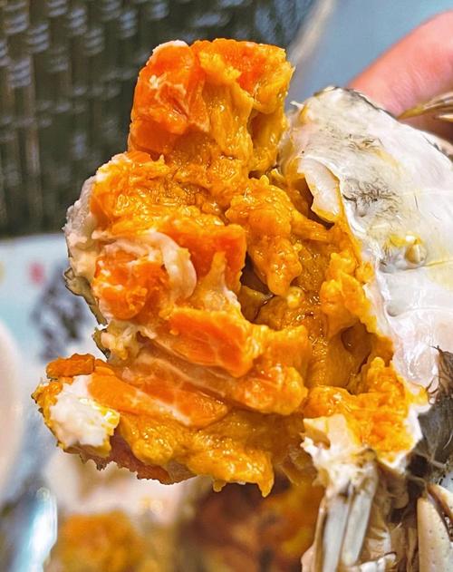 海鲜海鲜和白菜能同吃吗-图2 海鲜海鲜和白菜能同吃吗-图2