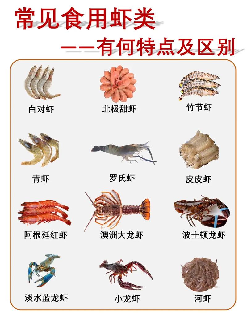 冷水海鲜 热带海鲜区别-图2