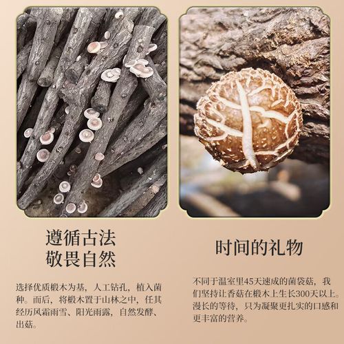 香菇和海鲜菇能一起吃吗-图2