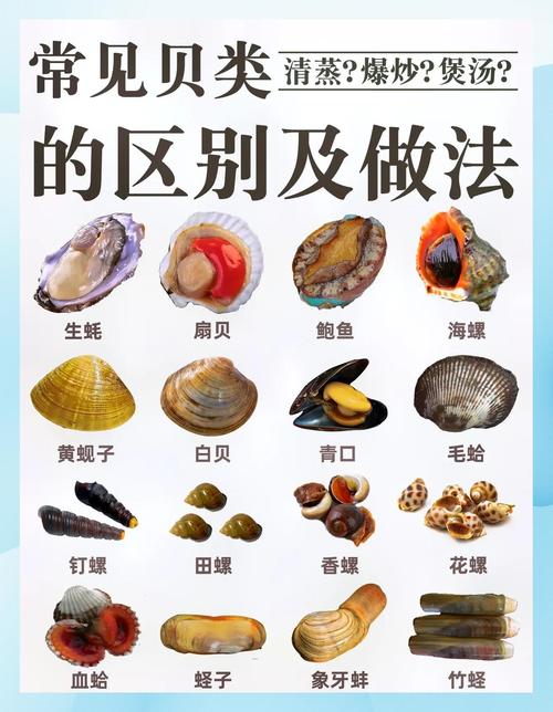 海鲜所有图片及名称大全-图3 海鲜所有图片及名称大全-图3