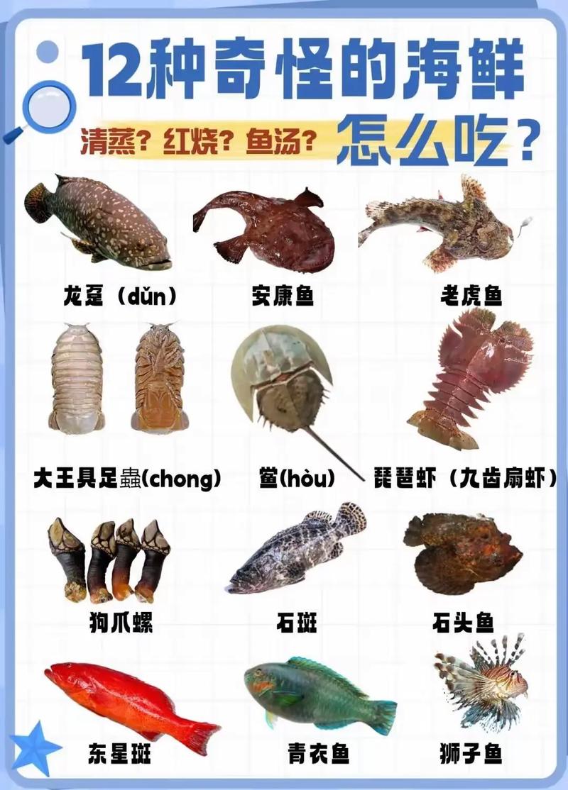 海鲜所有图片及名称大全-图2 海鲜所有图片及名称大全-图2