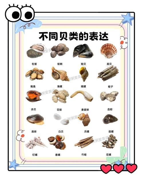 海鲜贝类图片及名称有哪些?-图2 海鲜贝类图片及名称有哪些?-图2