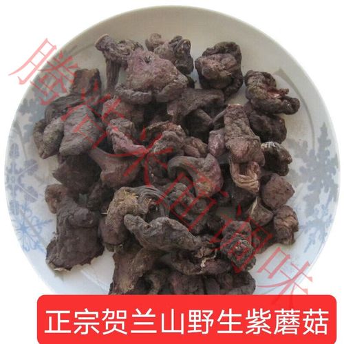 紫菇家常做法有哪些？-图2