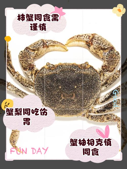 海鲜后吃水果,要等多久?-图1 海鲜后吃水果,要等多久?-图1