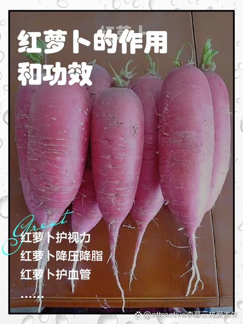 红罗卜家常做法有哪些?-图3 红罗卜家常做法有哪些?-图3