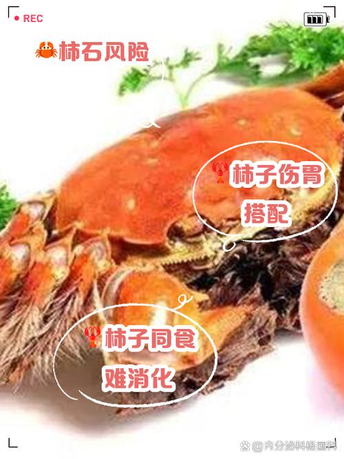 海鲜后多久能吃柿子？-图1