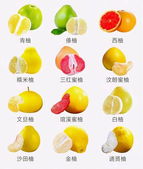 柚子海鲜同食会中毒吗？-图2