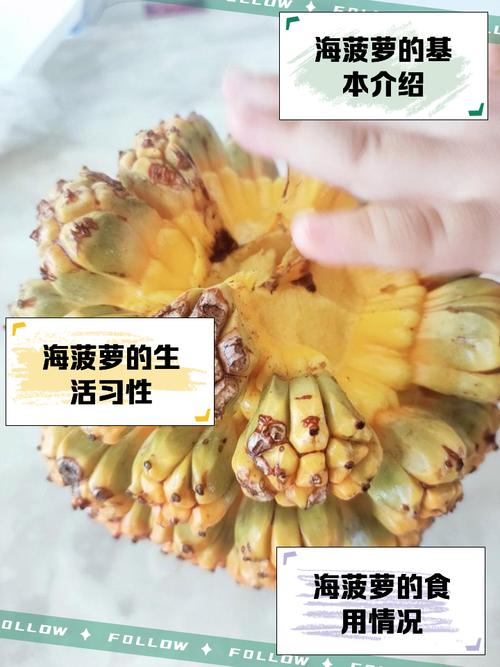 菠萝可以和海鲜一起吃吗-图1 菠萝可以和海鲜一起吃吗-图1