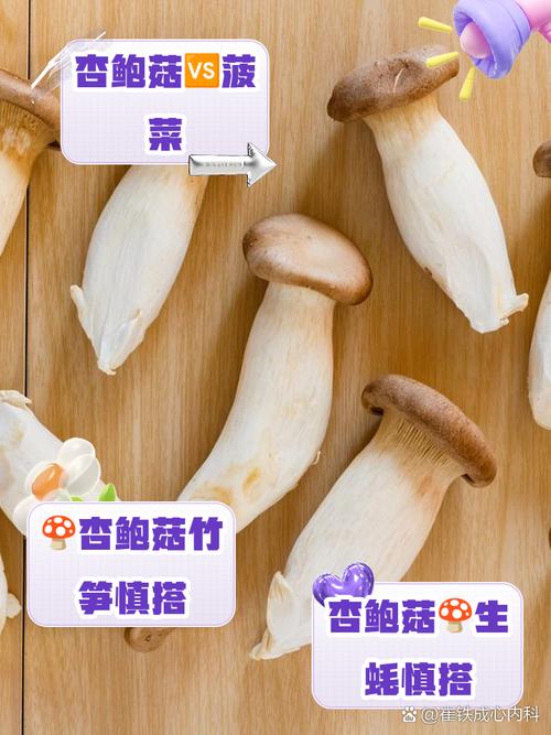 海鲜菇相克食物有哪些?-图2 海鲜菇相克食物有哪些?-图2