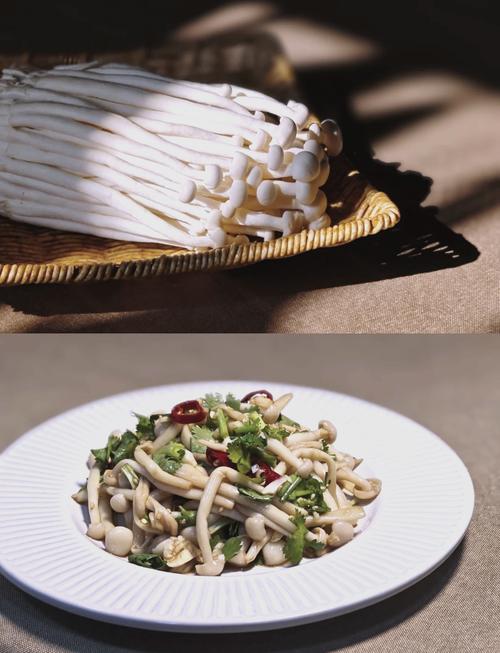 海鲜菇相克食物有哪些?-图1 海鲜菇相克食物有哪些?-图1