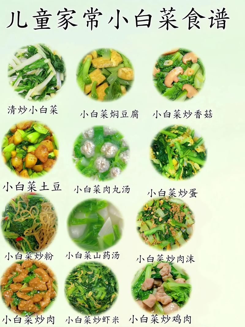 家常小白菜做法有哪些?-图1 家常小白菜做法有哪些?-图1