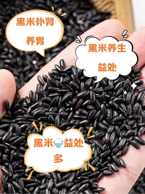 黑米6个月宝宝可以吃吗-图1