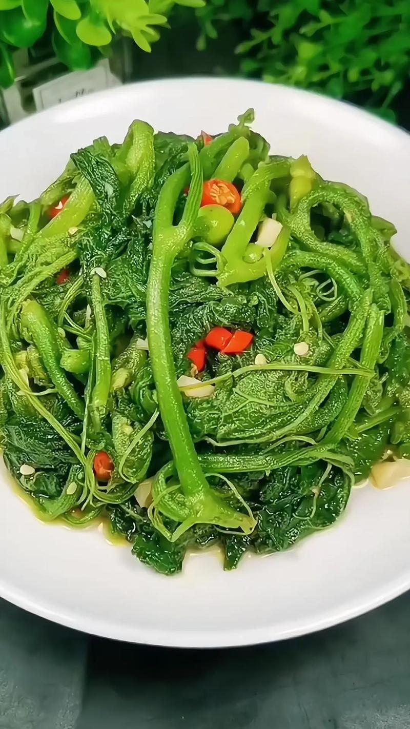 瓜尖的家常做法大全家常-图1 瓜尖的家常做法大全家常-图1