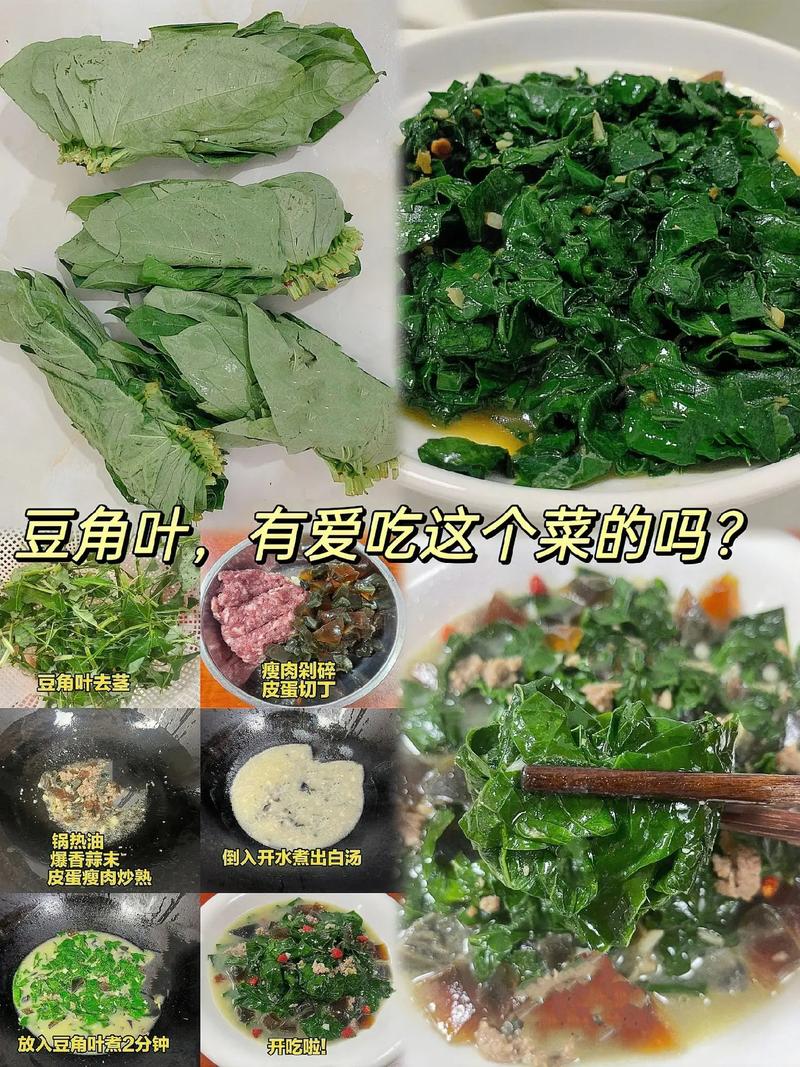 角叶家常做法有哪些?-图1 角叶家常做法有哪些?-图1