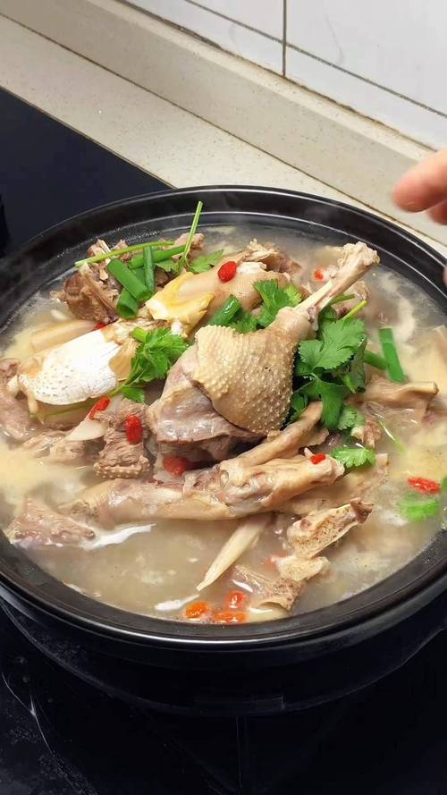 炖老鸭家常做法大全家常-图3 炖老鸭家常做法大全家常-图3