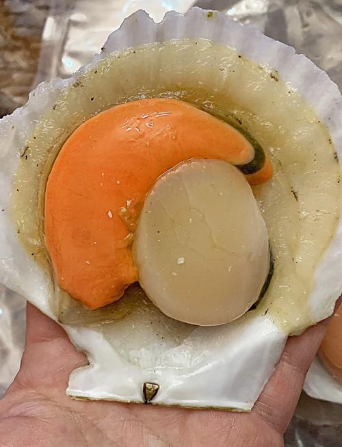 仙贝海鲜怎么处理?视频教你轻松搞定!-图1 仙贝海鲜怎么处理?视频教你轻松搞定!-图1