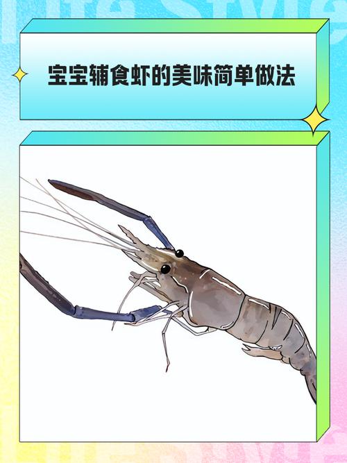 9月宝宝吃虾怎么做？辅食做法有哪些？-图3