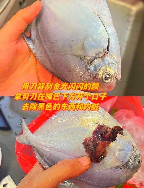 宝宝吃的鲳鱼怎么做才好吃？-图2