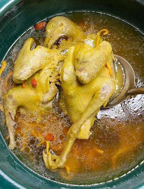 鸽子汤家常做法大全家常-图3