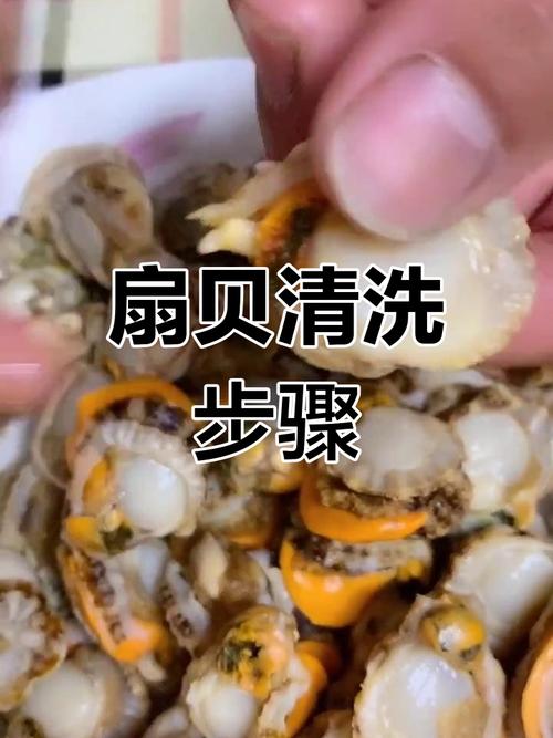 扇贝肉怎么洗才干净无泥沙?-图1 扇贝肉怎么洗才干净无泥沙?-图1