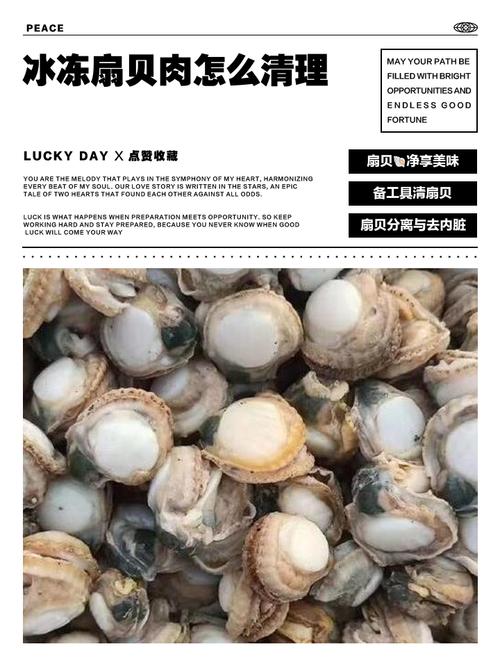 扇贝肉怎么洗才干净无泥沙?-图2 扇贝肉怎么洗才干净无泥沙?-图2