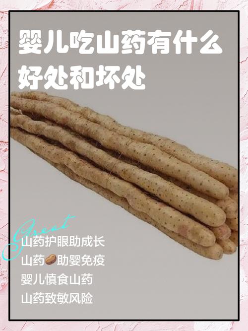 8月宝宝能吃山药吗？-图2