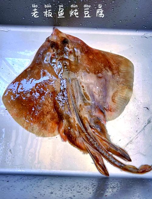 老板鱼家常做法有哪些?-图3 老板鱼家常做法有哪些?-图3